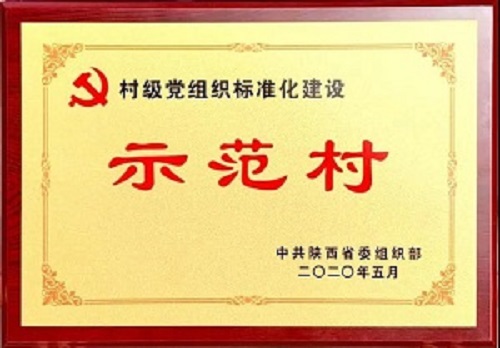 長安區三個村榮獲村級黨組織標準化建設省級示范村稱號